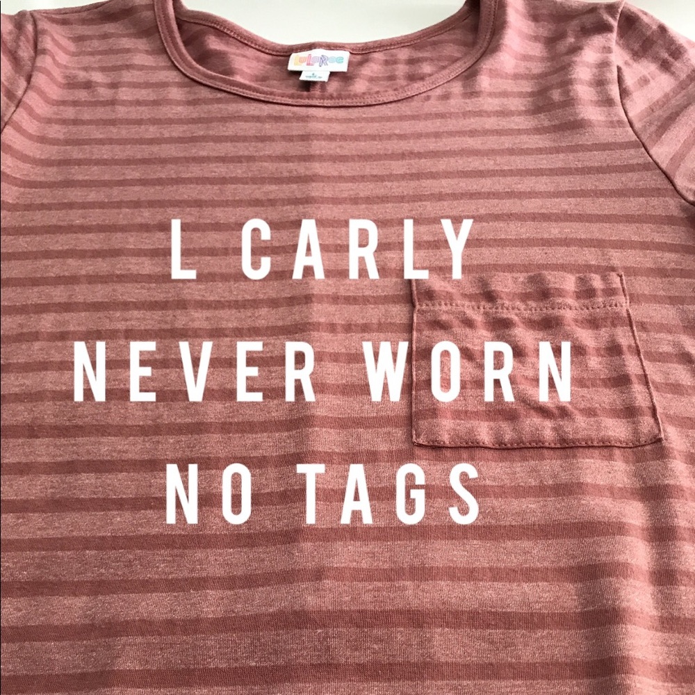 LuLaRoe pink stripe Carly Large